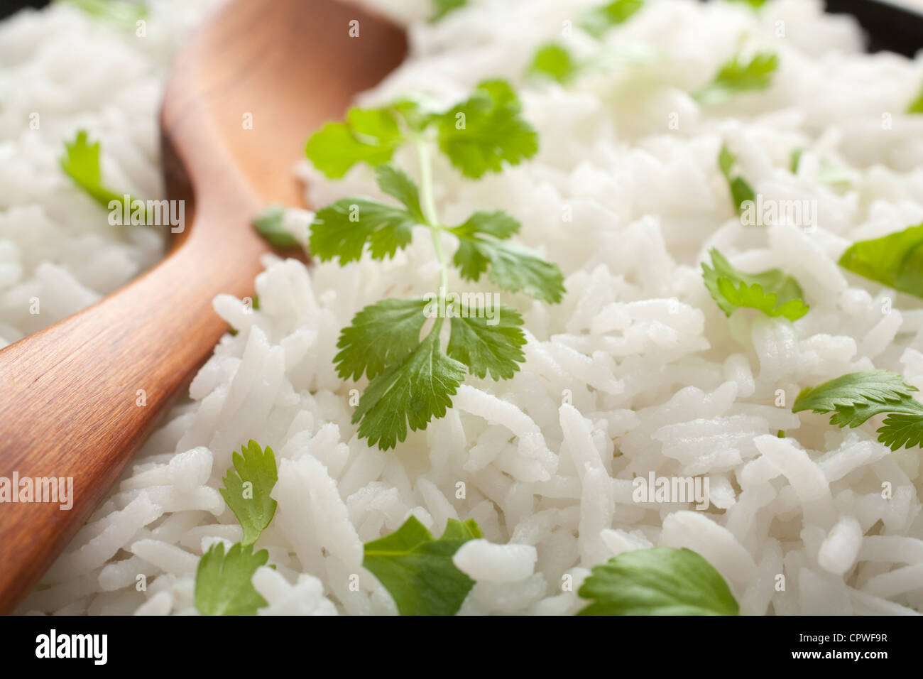 Nahaufnahme von Basmati-Reis mit Koriander, mit einem Löffel. Traditionelle Beilage zu indischen Curry. Stockfoto