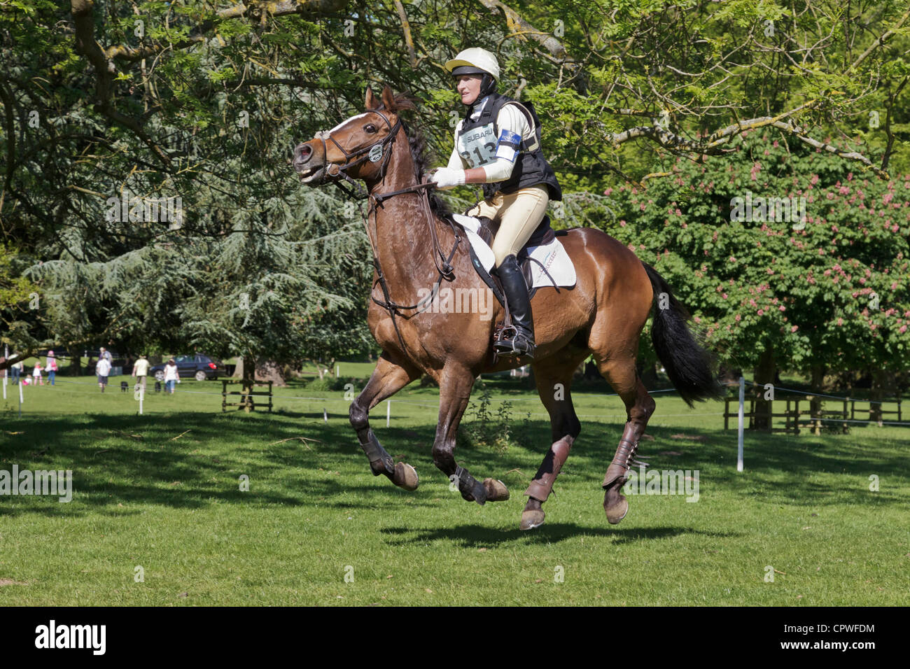 Lucinda Green Reiten Schrei nach Freiheit im Langlauf an der Houghton International Horse Trials 2012 Stockfoto