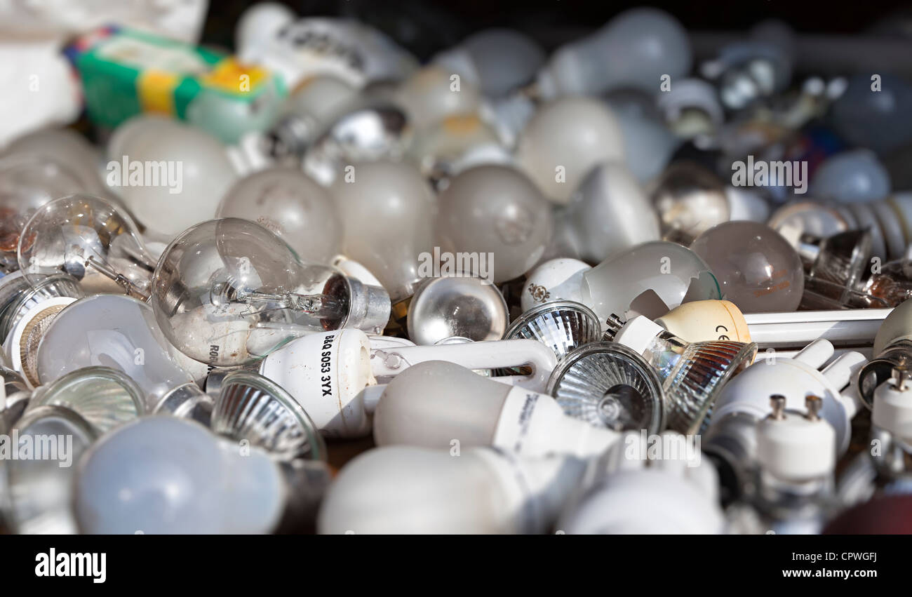 Gebrochene ausgebrannte Glühbirnen entsorgen für recycling, Wales, UK Stockfoto