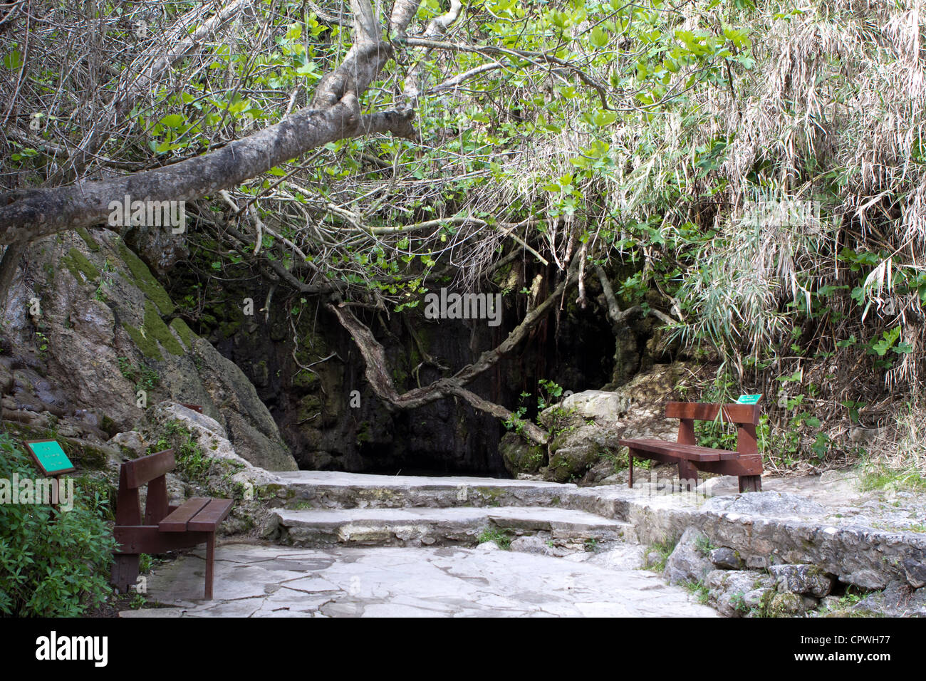 Bäder von Athrodite in der Akamas-Halbinsel, Zypern Stockfoto