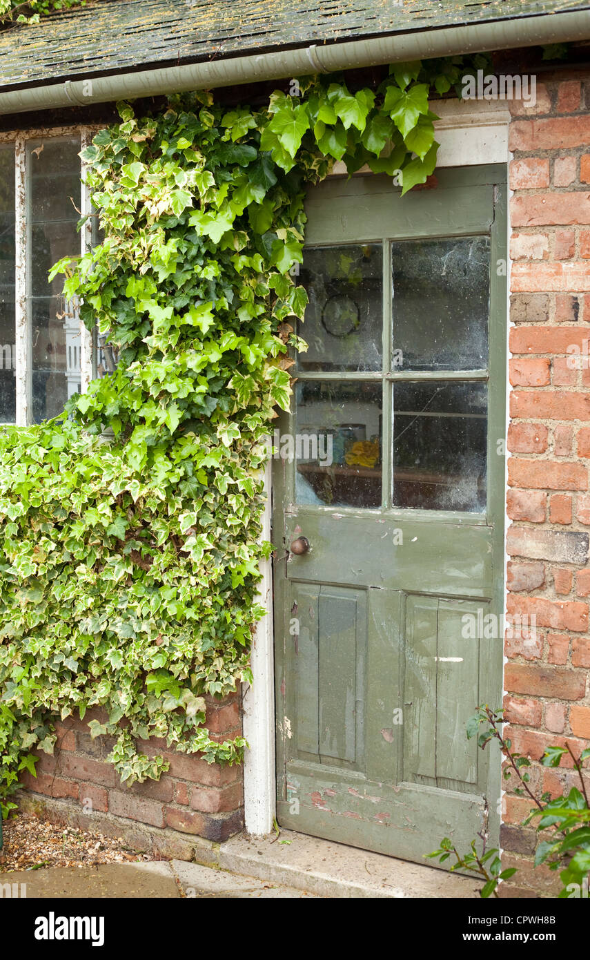 Potting Gartenhaus mit Efeu, England, UK Stockfoto
