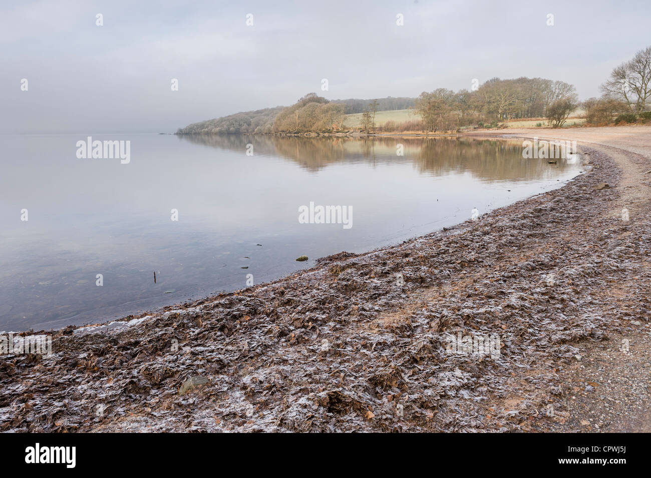 Loch Lomond in Winter, Schottland, Großbritannien Stockfoto