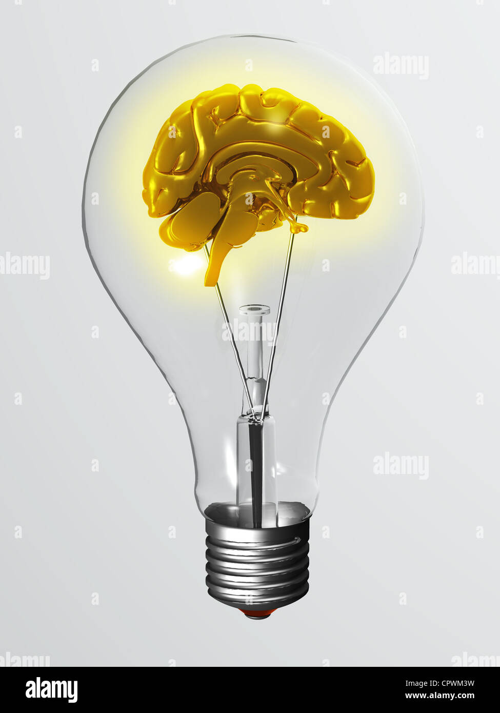 Abbildung des Gehirns innerhalb einer Glühbirne Stockfoto