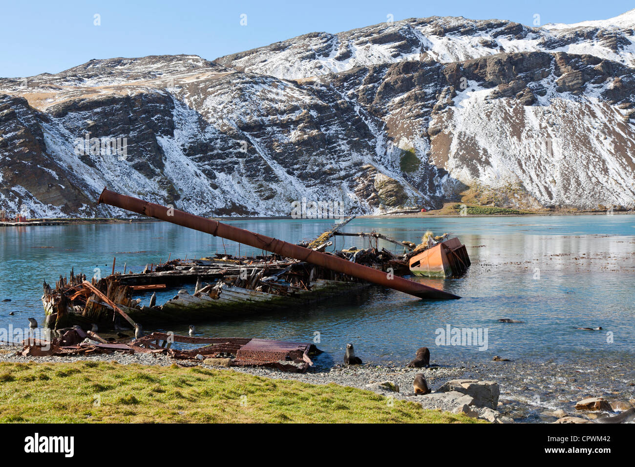 Das ausgebrannte Wrack der Louise, Grytviken, Süd Georgien Insel Stockfoto