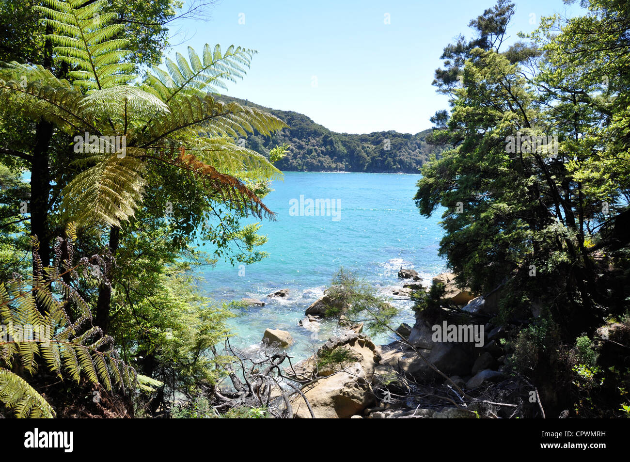 Küsten-Ansicht, Abel Tasman Nationalpark, Südinsel, Neuseeland Stockfoto