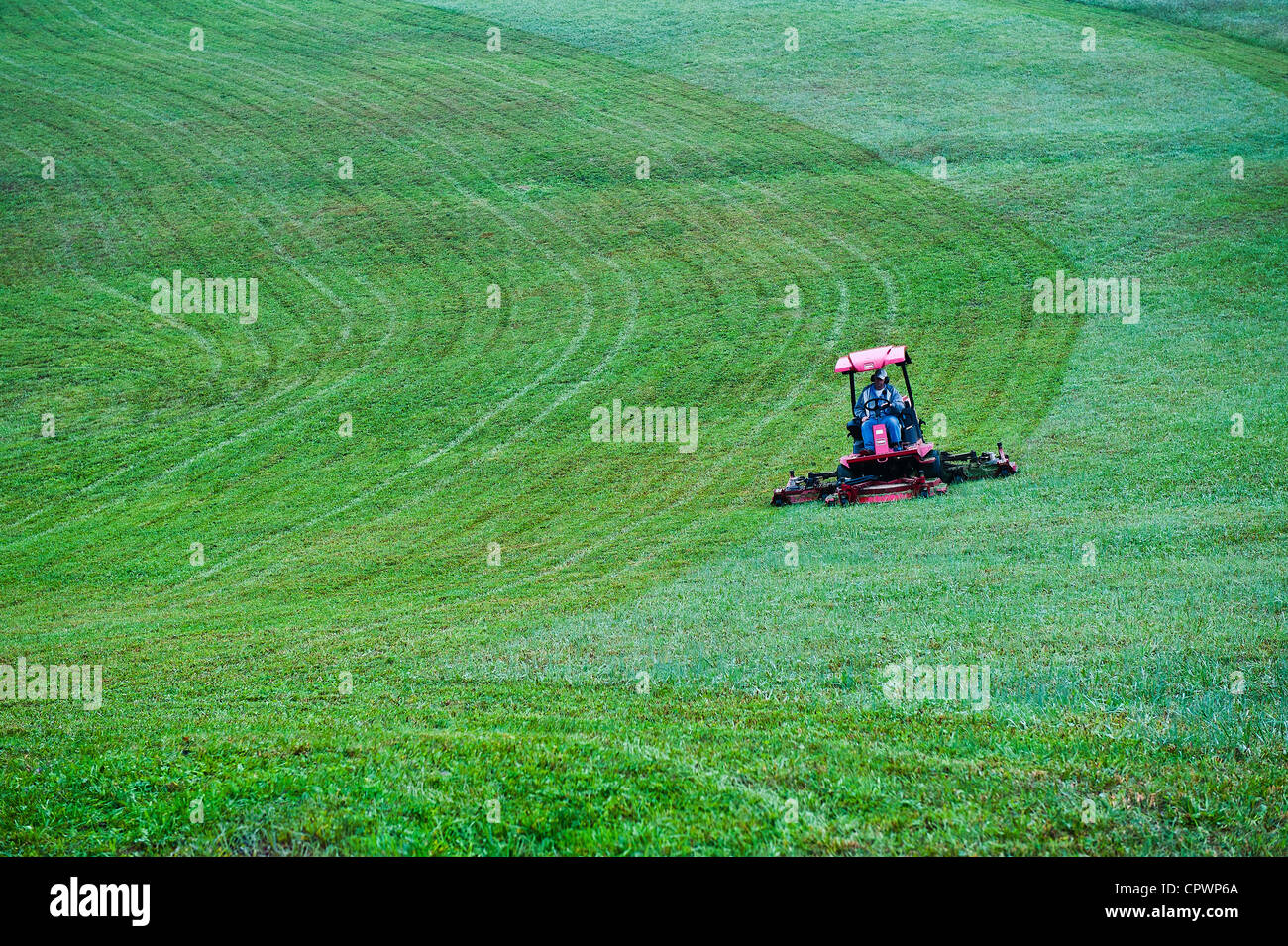 Traktor Mäher schneidet ein großes Feld von Gras. Stockfoto