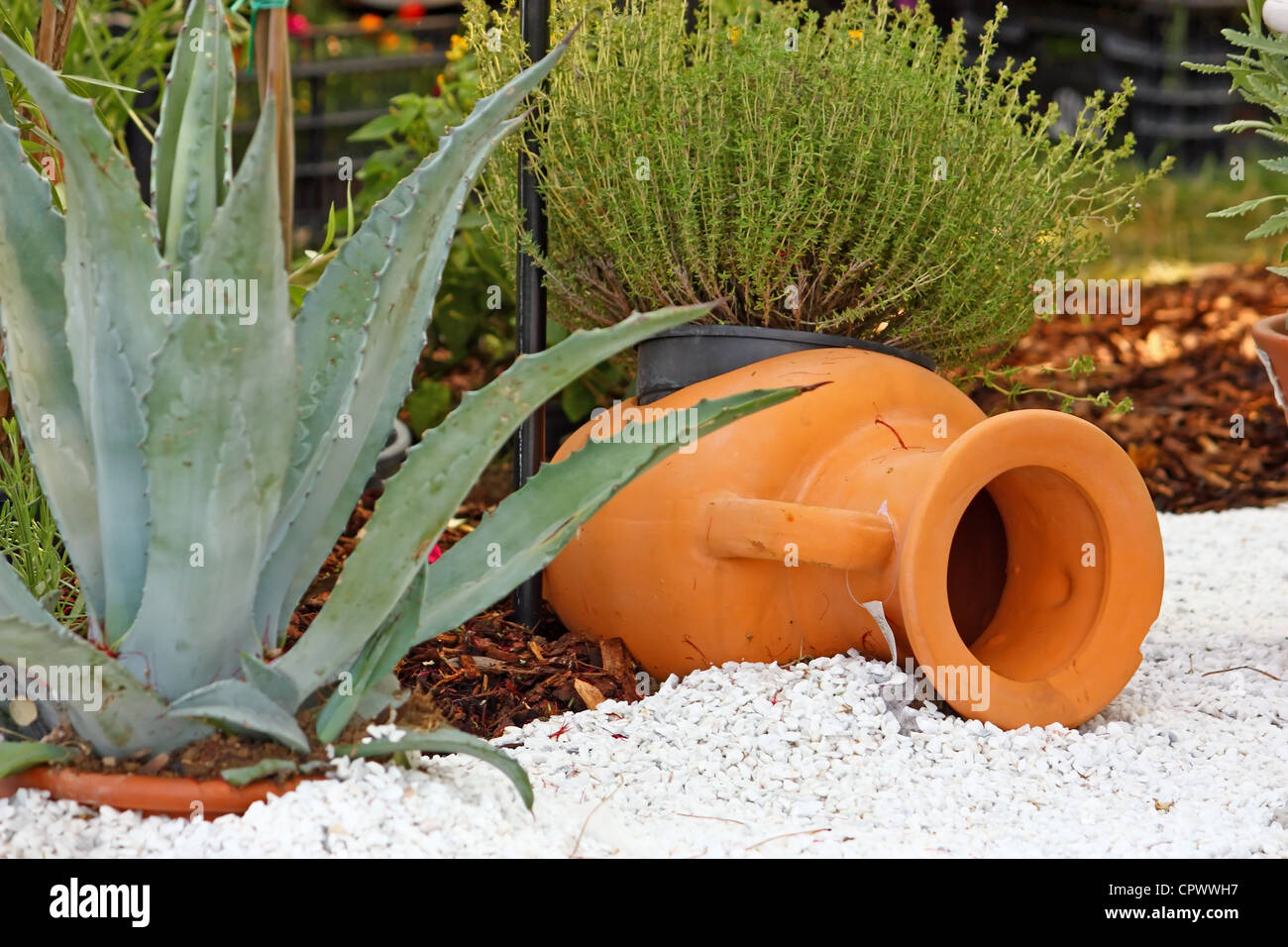 Lehm-Glas und Agave, Detail aus Garten Stockfoto