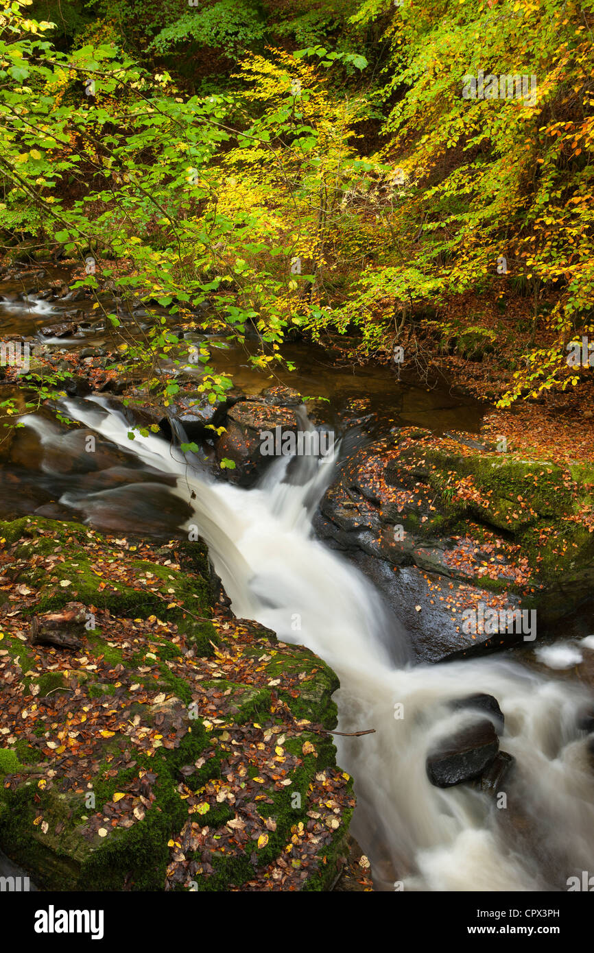 die Birks Aberfeldy, Perthshire, Schottland Stockfoto
