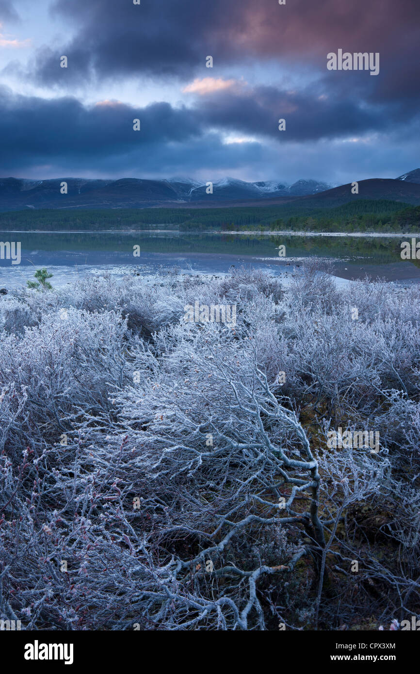 Loch Morlich und den Cairngorms im Morgengrauen, Badenoch und Strathspey, Schottland Stockfoto