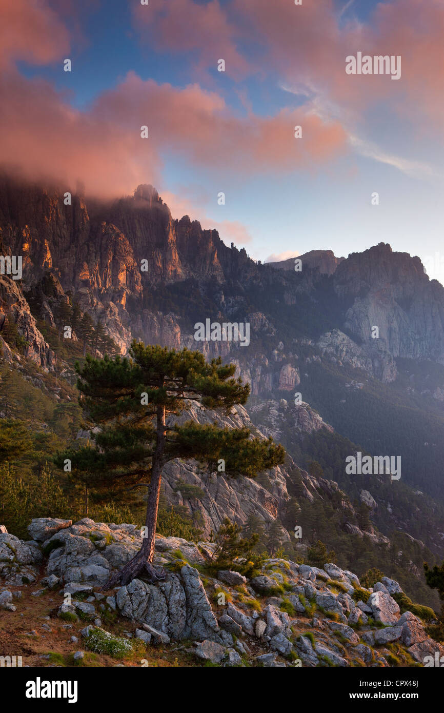 der Col de Bavella in der Morgendämmerung, Korsika, Frankreich Stockfoto