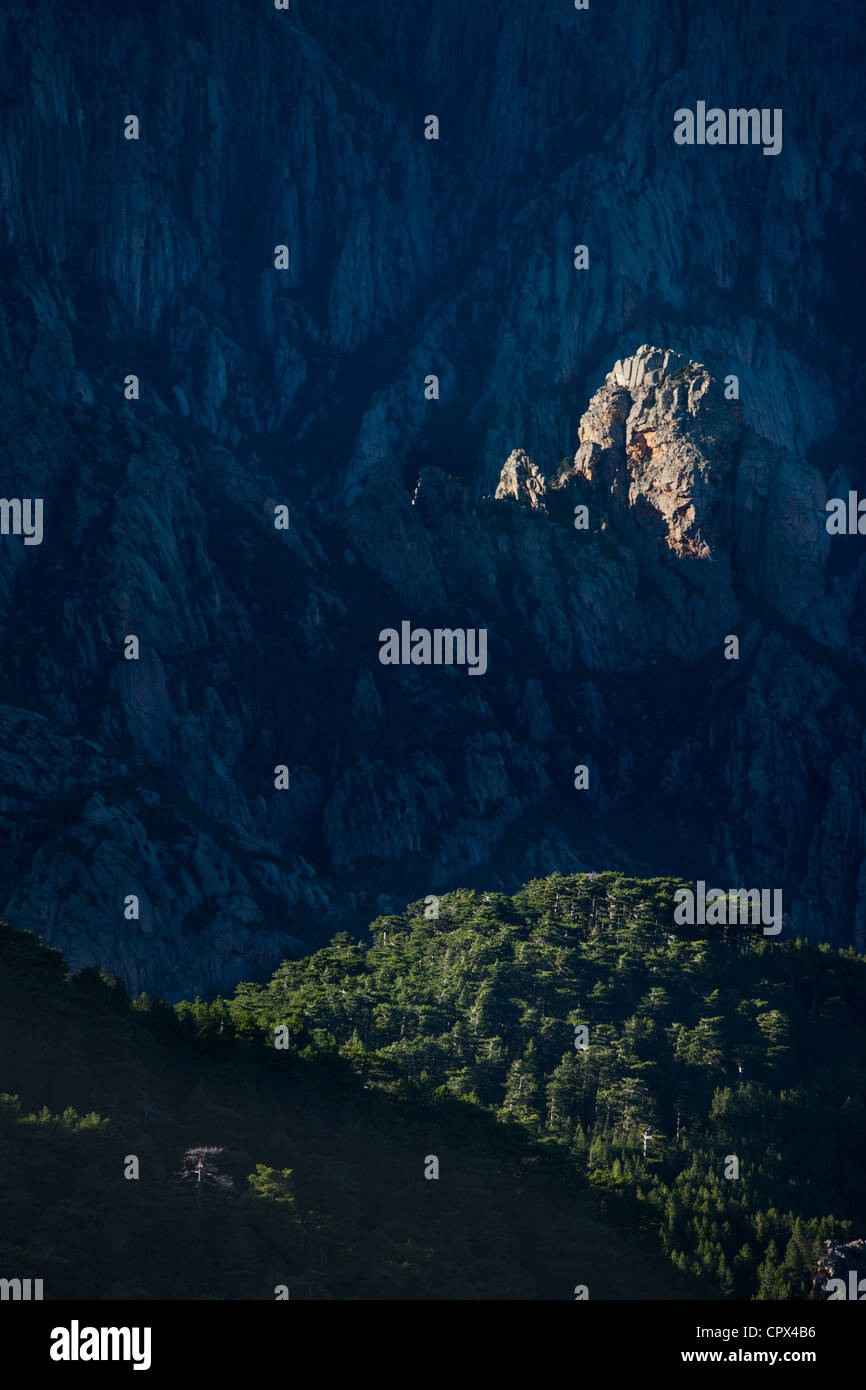 Les Aiguilles de Bavella, Korsika, Frankreich Stockfoto
