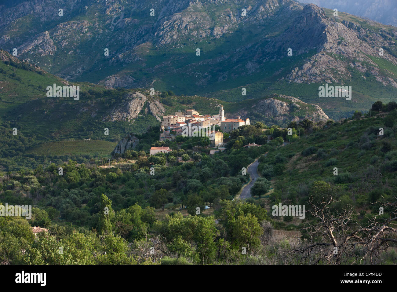 Das Dorf Montemaggiore auf der Route des Artisans, la Balagne, Korsika, Frankreich Stockfoto
