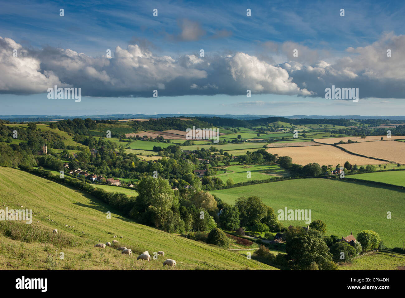 Corton Denham, Somerset, England, UK Stockfoto
