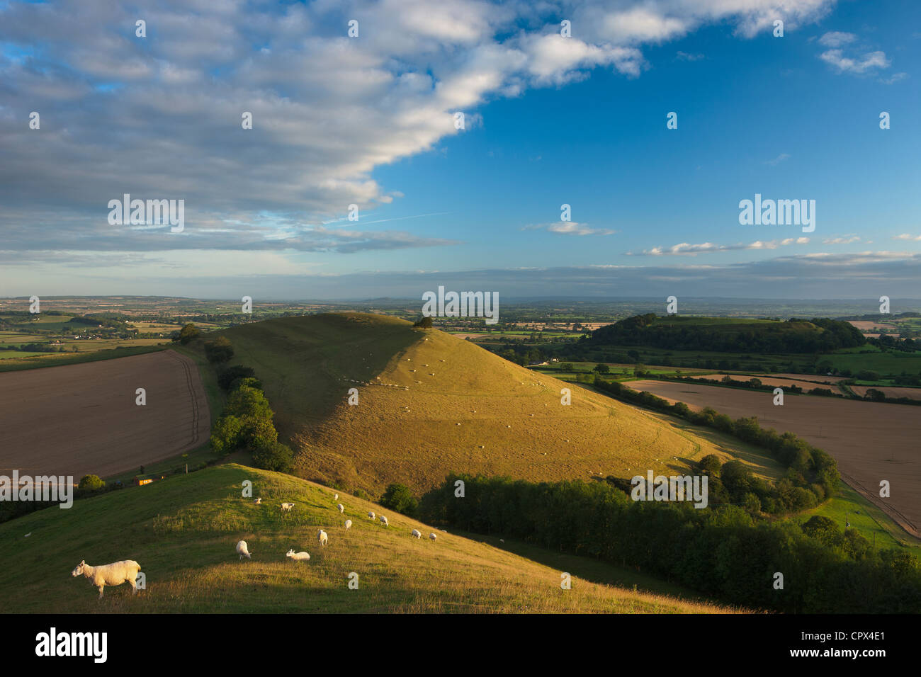 Parrock Hill Wiith Glastonbury Tor in der Ferne, von Corton Hill, Somerset, England, UK Stockfoto