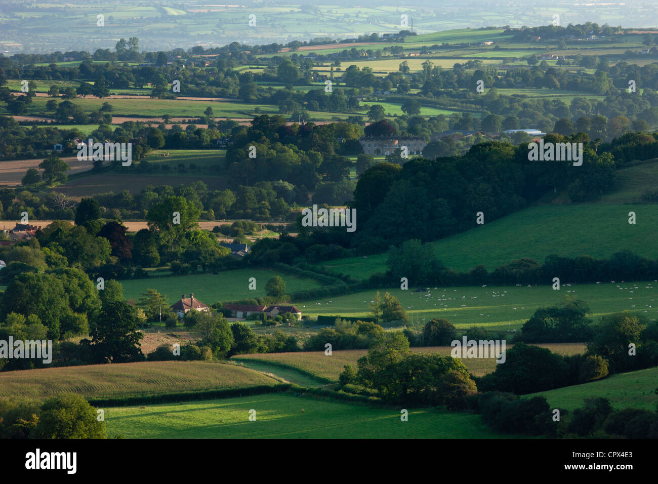 die rollende englische Landschaft nr South Cadbury, Somerset, England Stockfoto