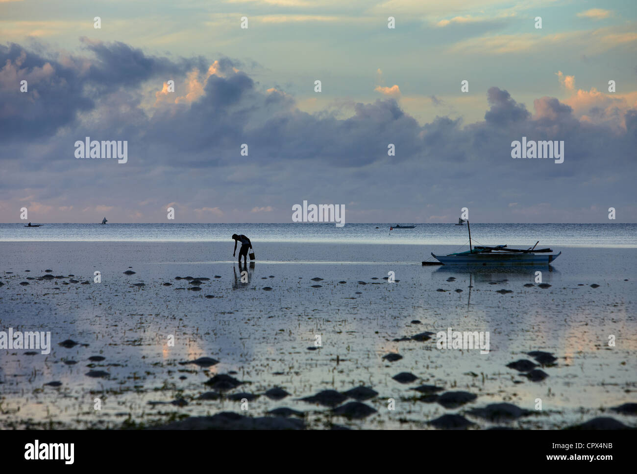 ein Mann, das Sammeln von Muscheln bei Ebbe, Siquijor, die Visayas, Philippinen Stockfoto