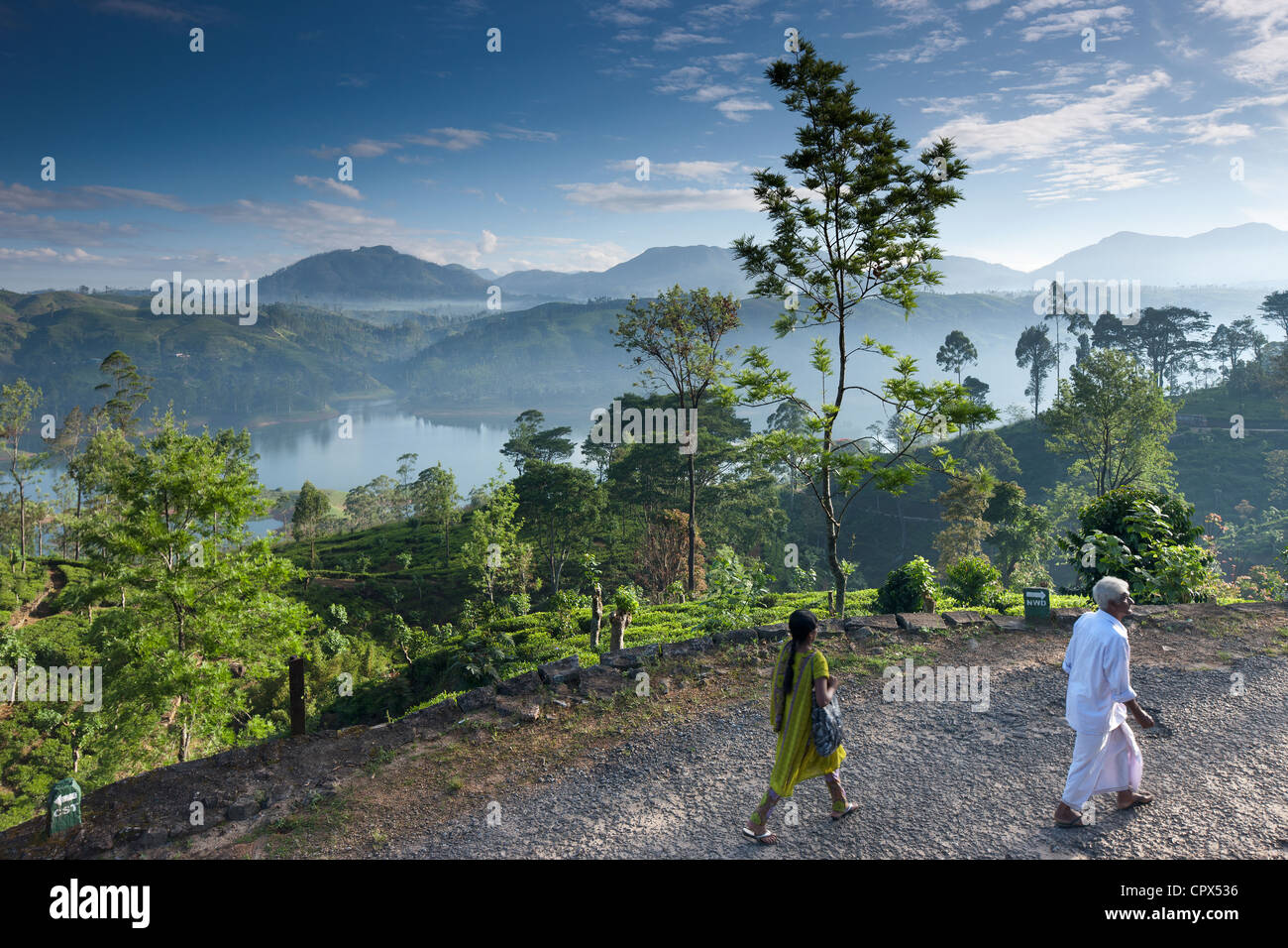 eine Teeplantage in der Nähe von Hatton, Hochland, Sri Lanka Stockfoto