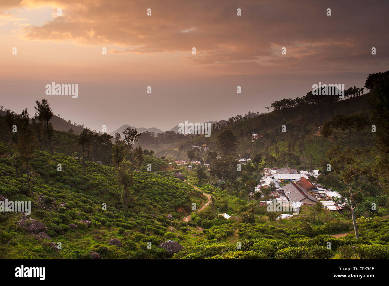Dorf von Namunukalu, umgeben von einer Teeplantage, nr Ella, Southern Highlands, Sri Lanka Stockfoto