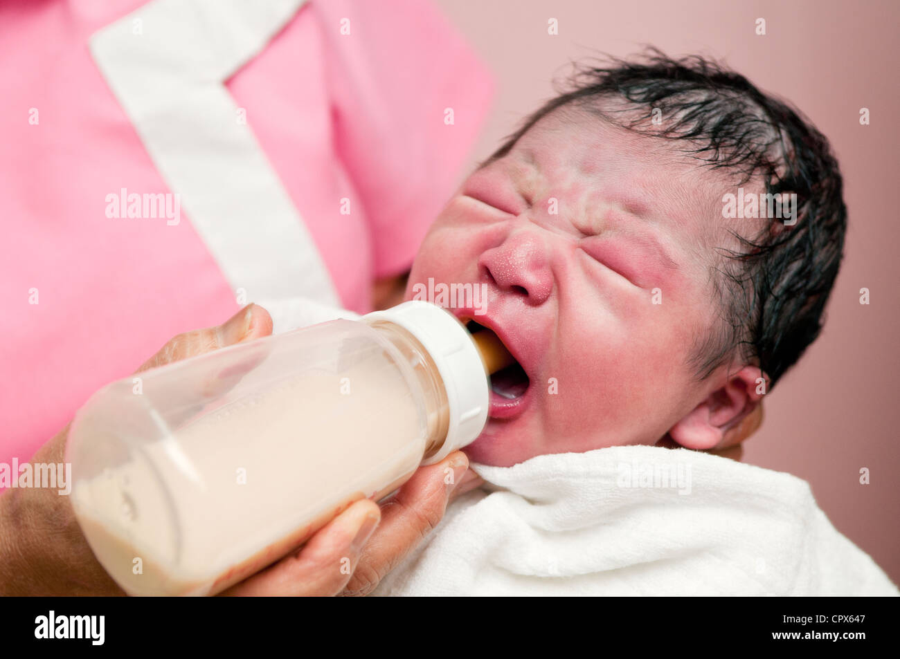 Hungrigen Neugeborenen gefüttert mit Milch, Porträt Stockfoto