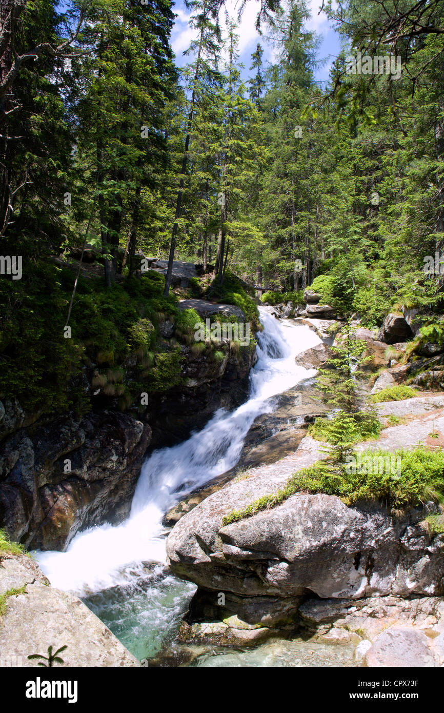 Hohe Tatra - Studenovodské Wasserfälle Stockfoto