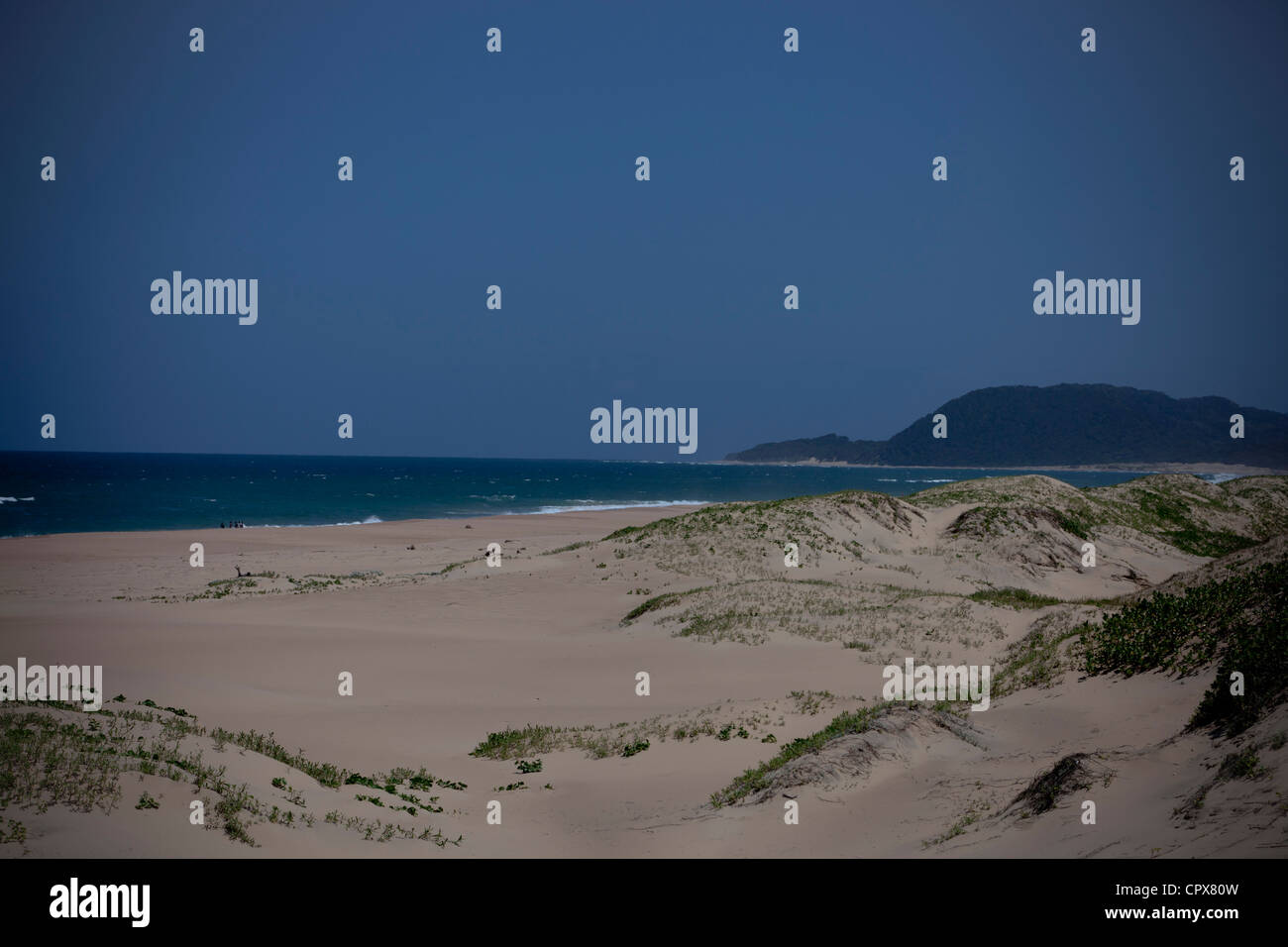 Malerische Schuss von einem Strand mit Meer im Hintergrund Stockfoto