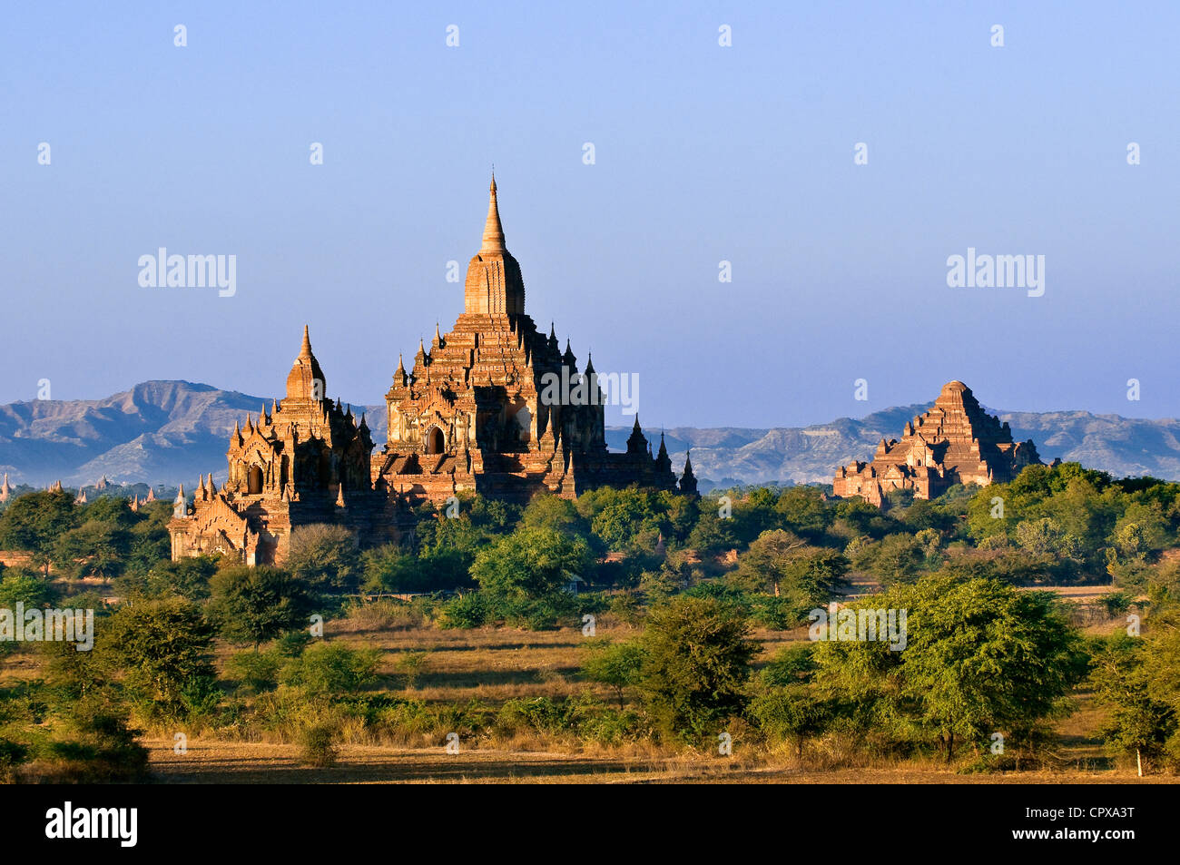 Myanmar Burma Mandalay Abteilung Bagan Pagan Old Bagan archäologische Stätte mit Hunderten von Pagoden Stupas zwischen 10. gebaut Stockfoto