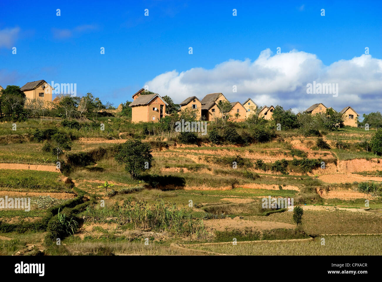 Madagaskar, Highlands, ehemalige Provinz von Fianarantsoa, Blick aus dem Zug FCE zwischen Fianarantsoa und Manakara Stockfoto