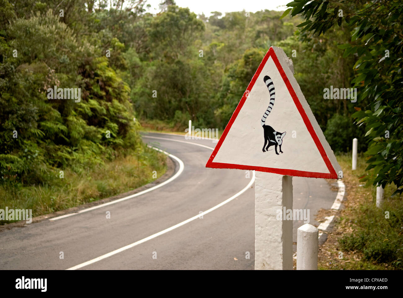 Madagaskar Hochland ehemalige Provinz von Fianarantsoa, Vatovavy Fitovinany hohe Matsiatra Regionen Lemur Zeichen auf Bundesstraße 7 Stockfoto