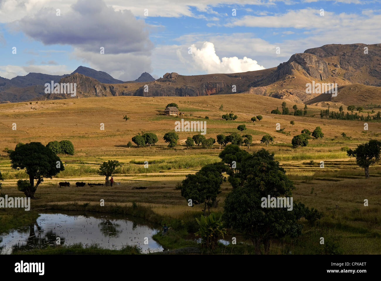 Hochland von Madagaskar ehemalige Provinz von Fianarantsoa hohe Matsiatra Region Blick vom National Road 7 im Südbereich des Stockfoto