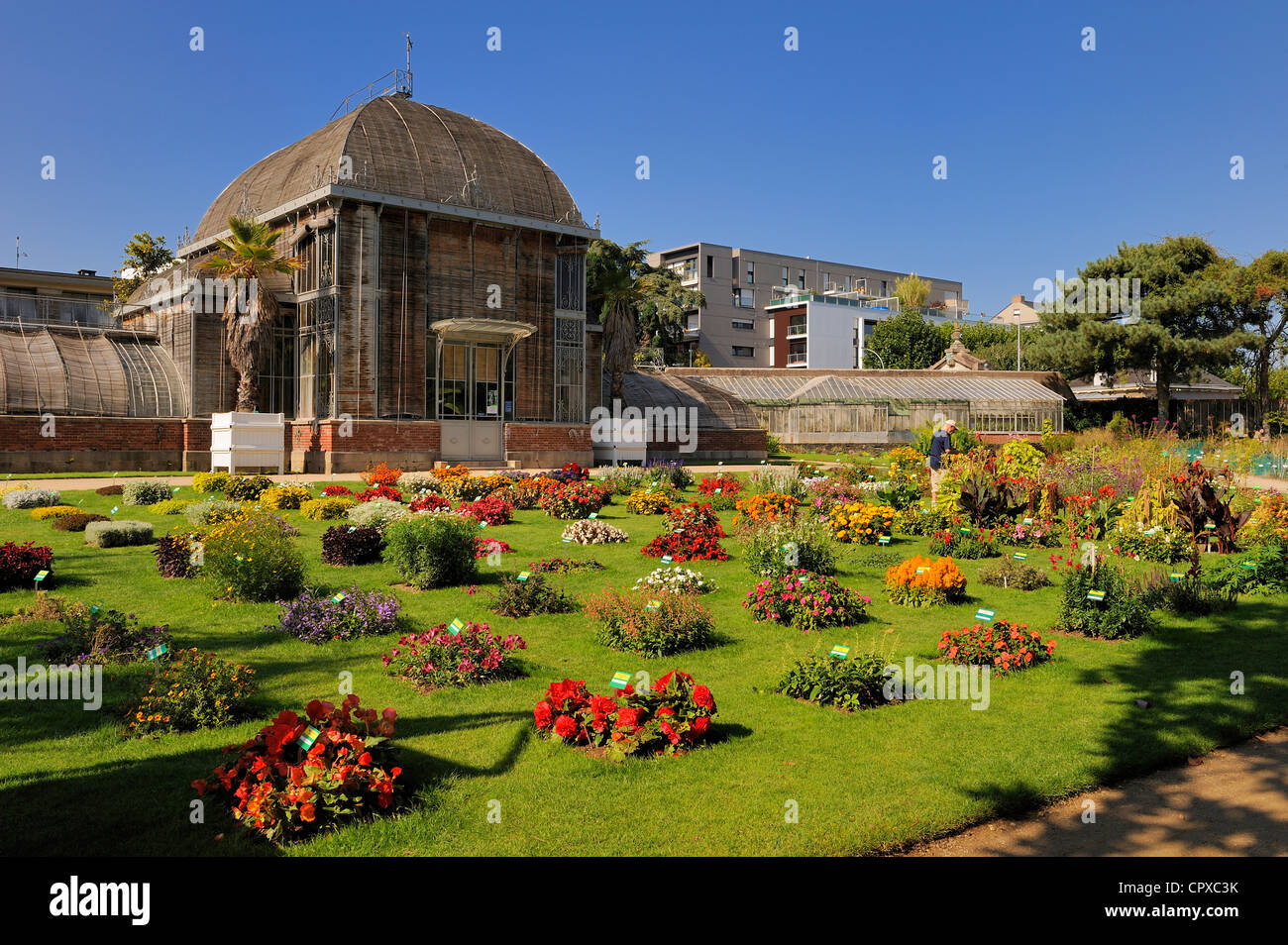 Frankreich, Loire-Atlantique, Nantes, Jardin des Plantes (Botanischer Garten) Stockfoto