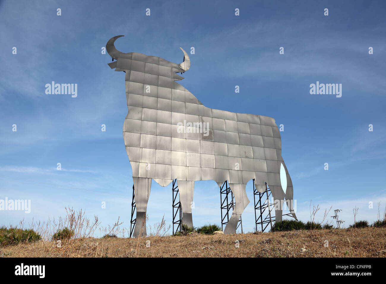 Silhouette eines Stiers in spanischen Landschaft Stockfoto