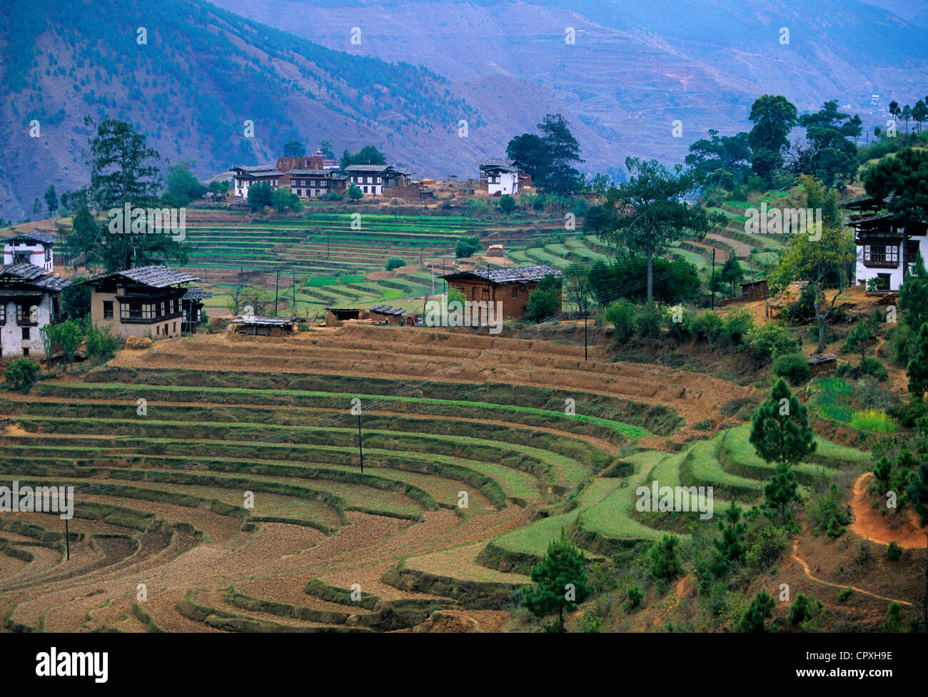 Bhutan Wangdue Phodrang Bezirk Wangdiphodrang Tal eines der reichsten Boden des Landes neuem Anbaugebiete traditionellen Gehäuse Stockfoto