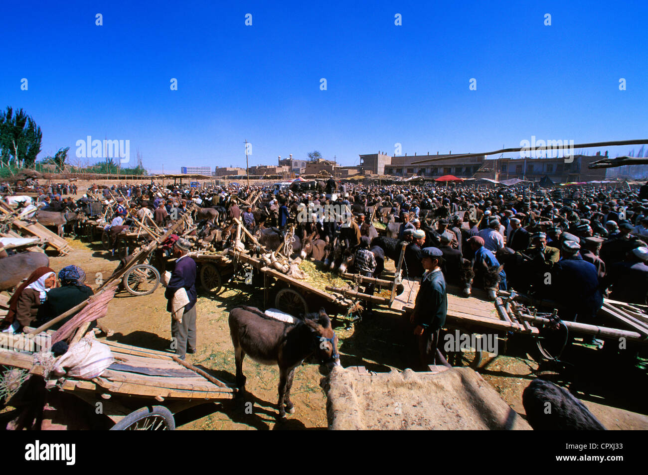 China, Provinz Xinjiang, Kashgar (Kashi), alte Stadt-Basar, Ouigour Bevölkerung, Sonntagsmarkt, Viehmarkt Stockfoto