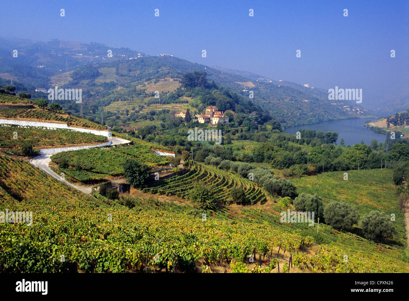 Region Portugal Norte aufgeführt Douro-Tal als Weltkulturerbe von der UNESCO zum Douro-Fluss Douro-Tal ist eines der reichsten Stockfoto