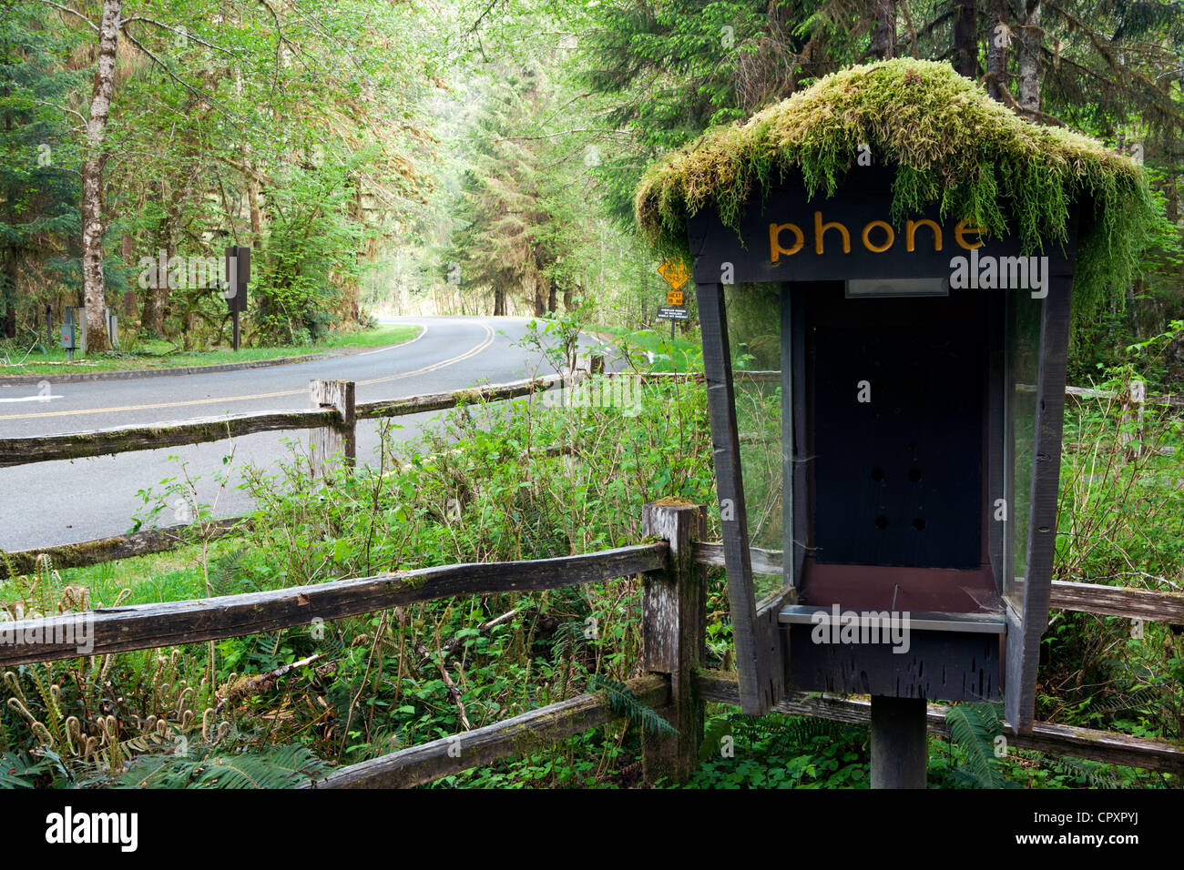 Verlassene Telefonzelle - Hoh Rainforest - Olympic National Park, in der Nähe von Forks, Washington, USA Stockfoto