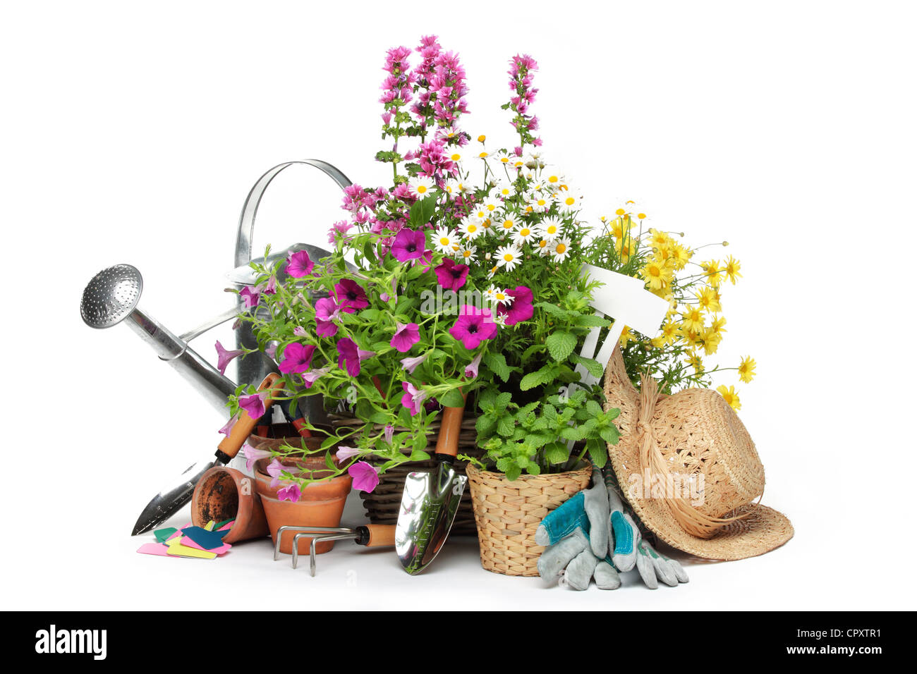 Gartengeräte und Blumen isoliert auf weiss. Stockfoto