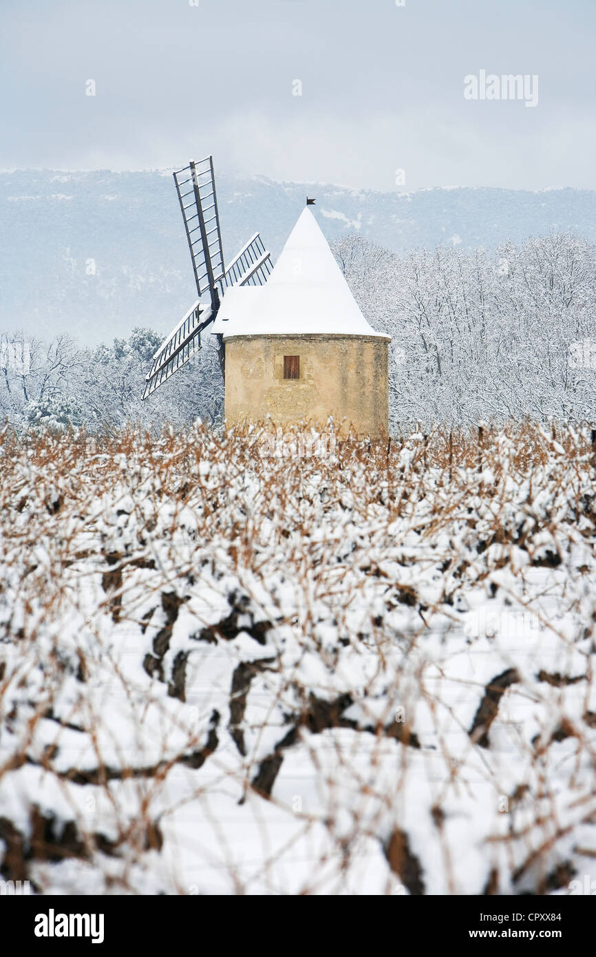 Frankreich, Vaucluse, Lubéron, in der Nähe von Ansouis, Sannes, AOC Côtes du Luberon, Mühle im Weinberg unter dem Schnee Stockfoto