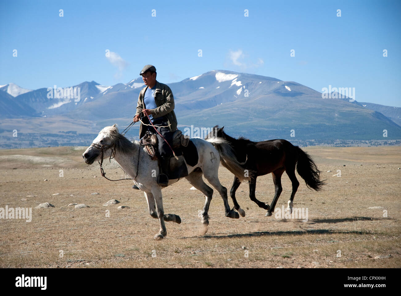 Mongolei, Bayan Ölgii Region, Grenze zu Kasachstan, Altai Tavan Bogd Nationalpark, kasachische Fahrer Stockfoto