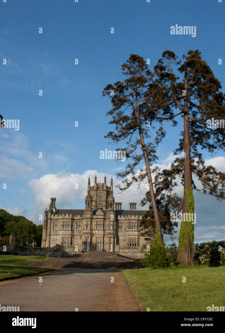 Bäume Margam Parkgrundstück und Haus Stockfoto