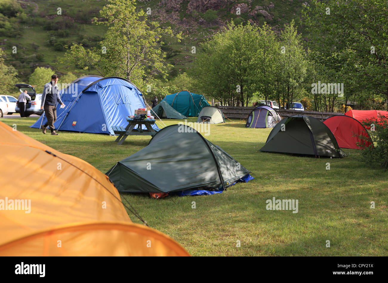 Zelte in Shiel Bridge Campingplatz in den Highlands von Schottland Stockfoto