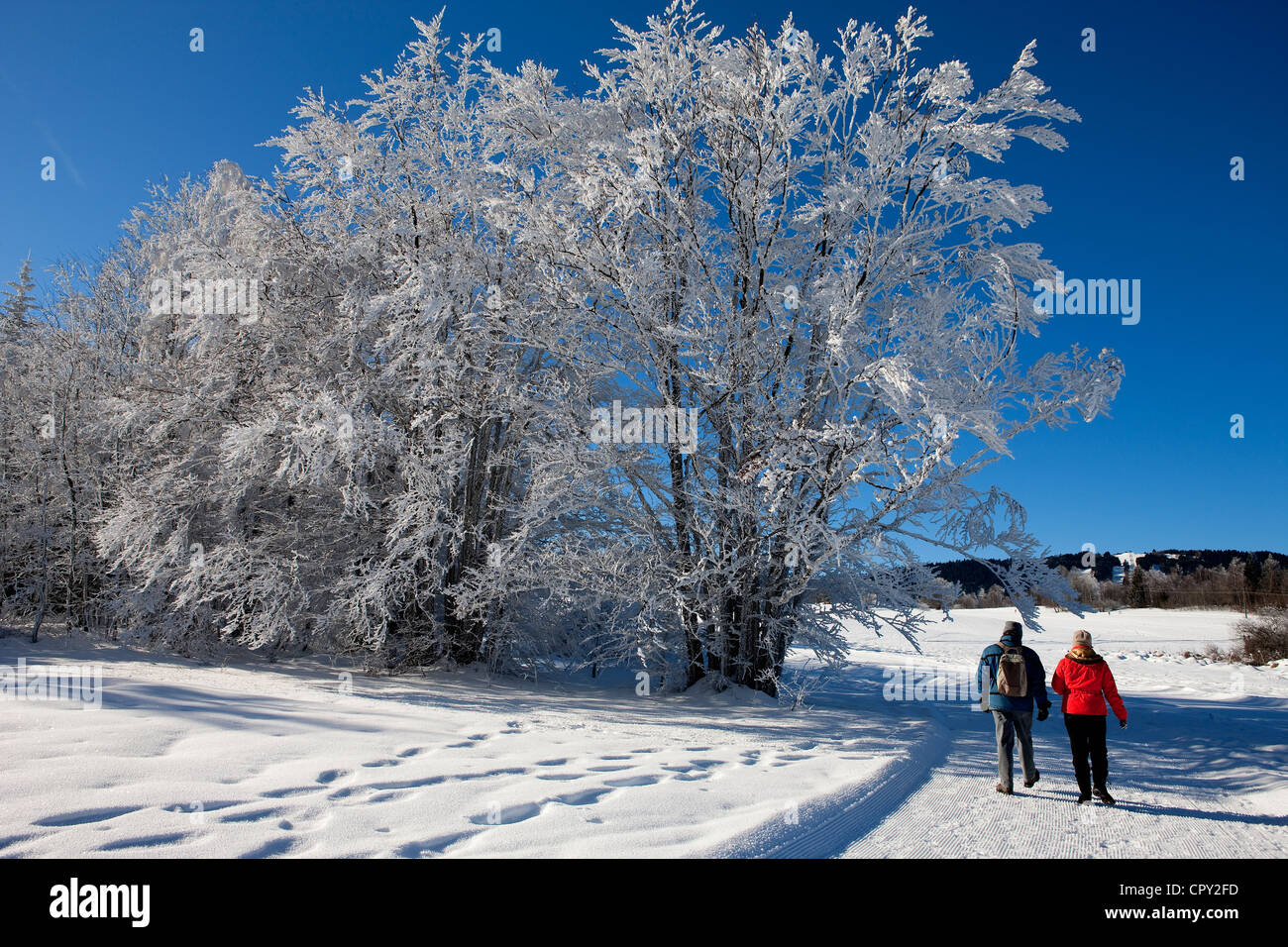 Frankreich, Savoyen, La Feclaz, Massif des Bauges, Ski nordisch Aera des Grand Revard Stockfoto