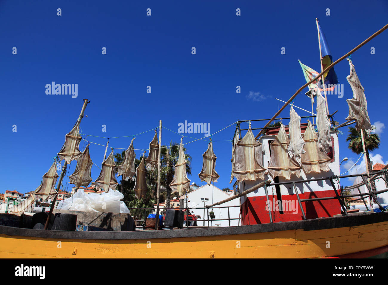 Getrocknete Fische auf Angelboot/Fischerboot in Camara de Lobos, Madeira, Portugal, Europa angezeigt.  Foto: Willy Matheisl Stockfoto