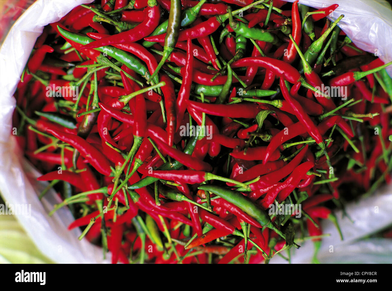Seychellen, Insel Mahe, kleine rote chilis Stockfoto
