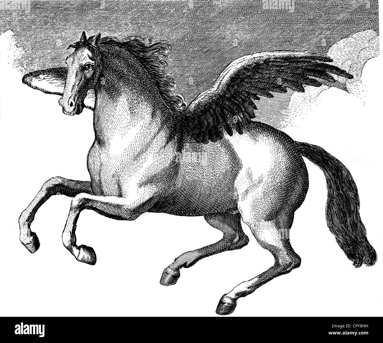 Pegasus, griechischen Sagengestalt, geflügeltes Pferd, Kupferstich, Mitte des 18. Jahrhunderts, Artist's Urheberrecht nicht geklärt zu werden. Stockfoto