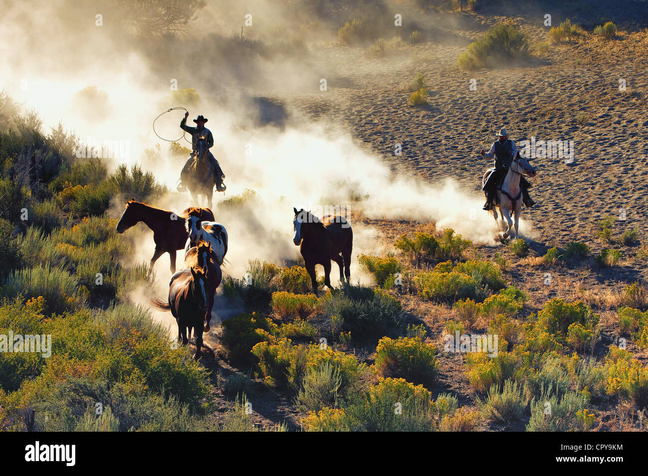 Runden Sie auf Zeit Cowboy und Pferd Stockfoto