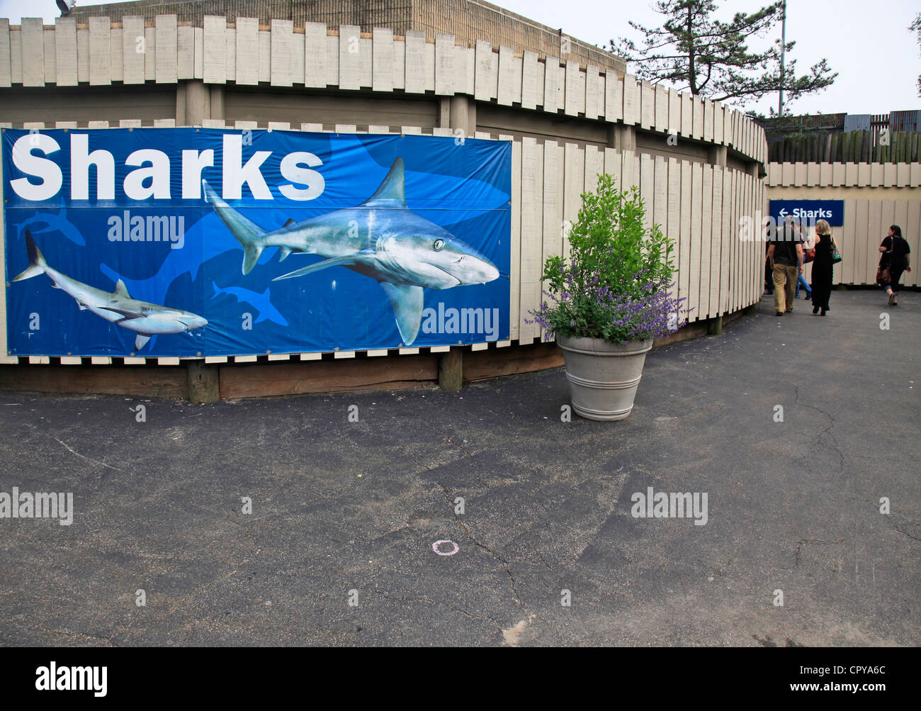 New York Aquarium in Brooklyn New York Stockfoto