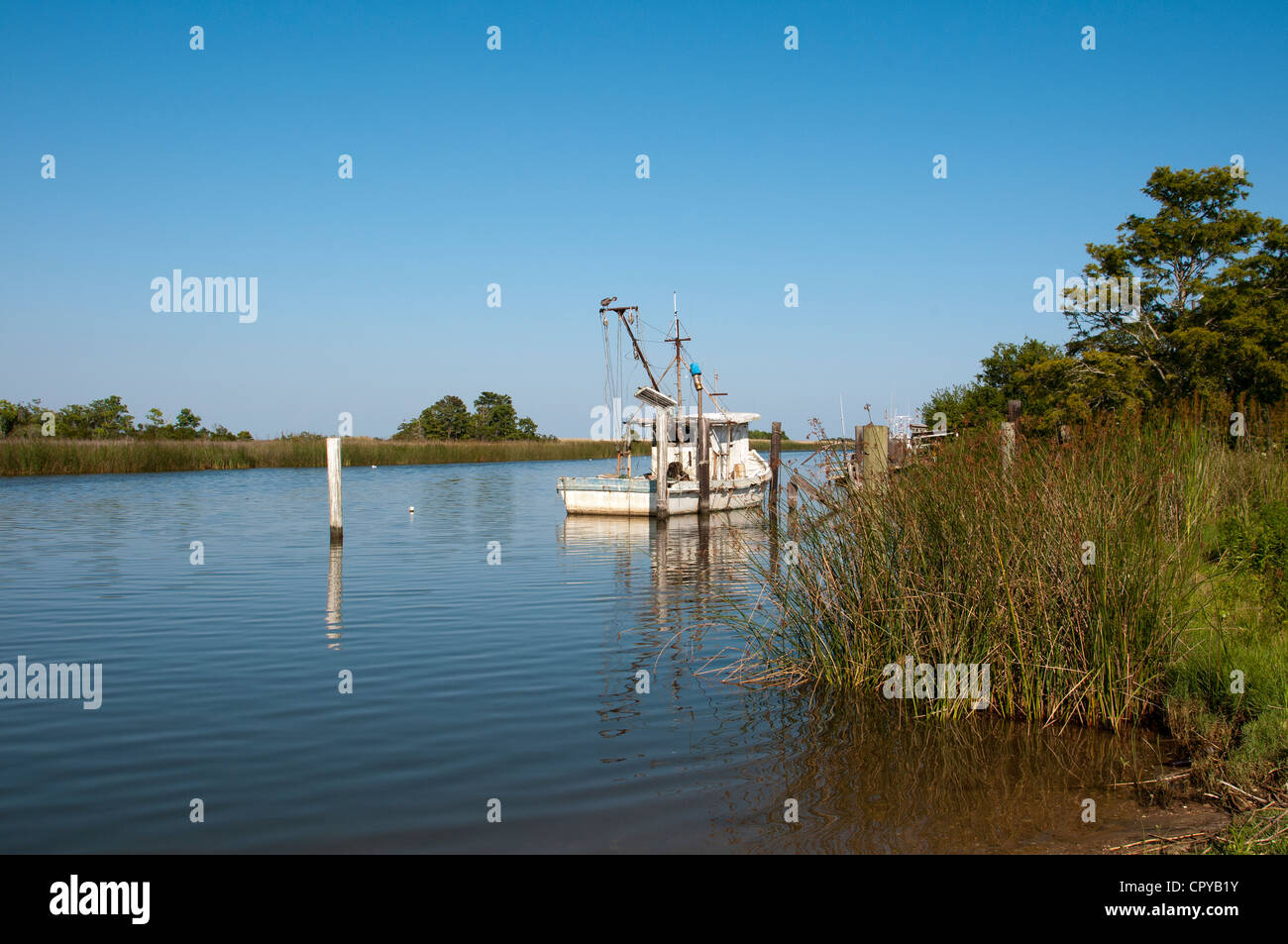 Apalachicola River Apalachicola nordwestlichen Florida USA Stockfoto
