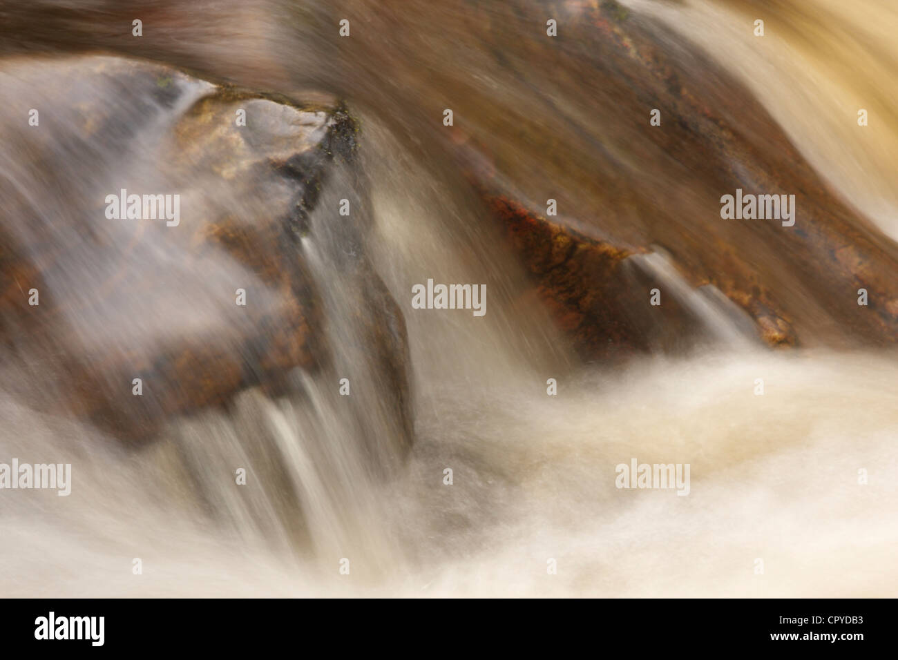 Detail eines Wasserfalls, Reelig Glen, Highlands, Schottland, Vereinigtes Königreich Stockfoto