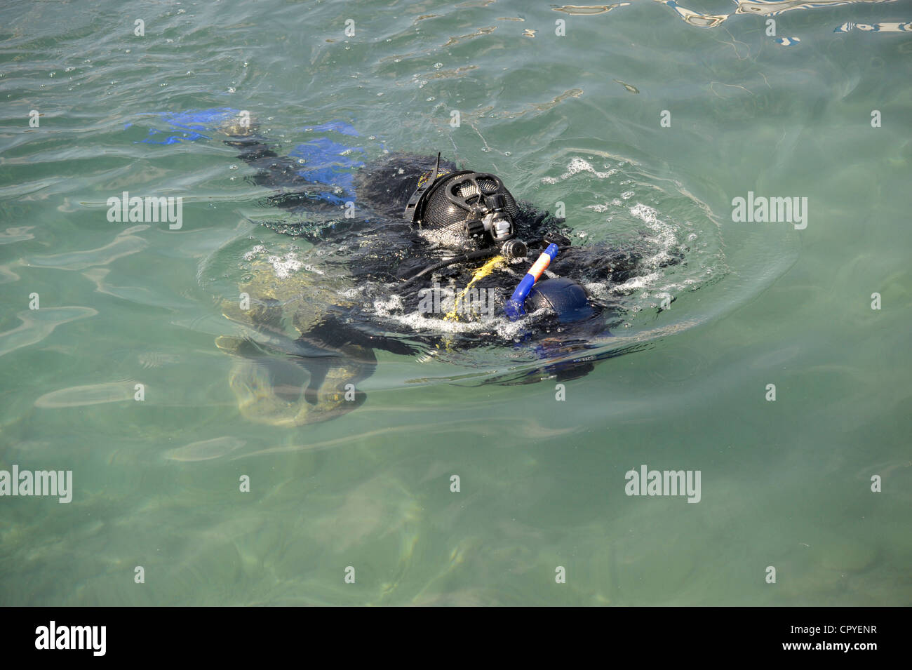 Taucher im Meer Stockfoto