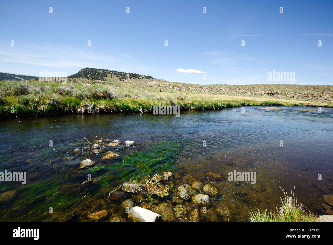 Heißen Creek in der Nähe von Mammoth Lakes, Kalifornien, USA Stockfoto
